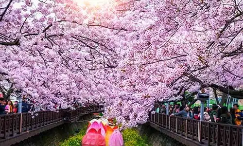 © Prakobkit | Dreamstime.com