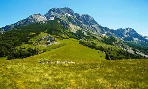 © Vukas | Dreamstime.com