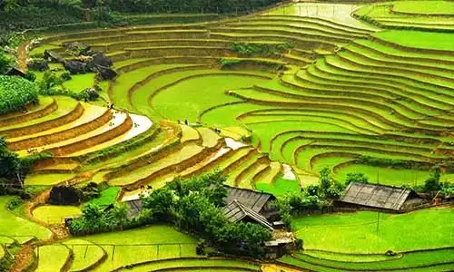 © Jiayikang | Dreamstime.com