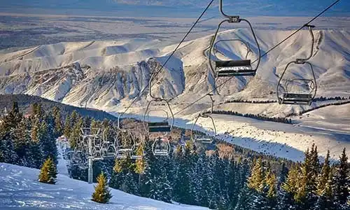 © Sergfear | Dreamstime.com