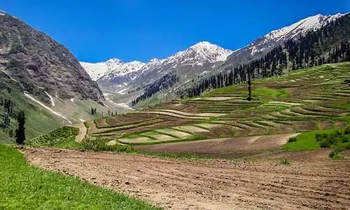 © Clicksbyabrar | Dreamstime.com
