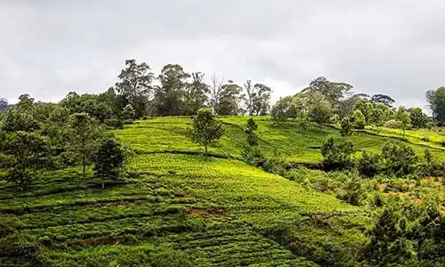 © Sparkzcoin | Dreamstime.com