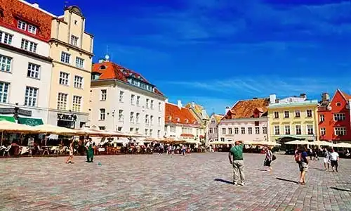 © Dennis_dolkens | Dreamstime.com