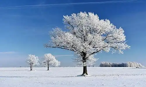 © Ginaups | Dreamstime.com