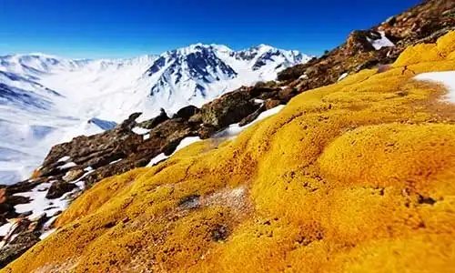 © Joppo | Dreamstime.com