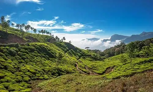 © Javarman | Dreamstime.com