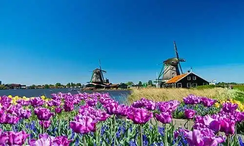 © Lsantilli - Fotolia | windmill in holland