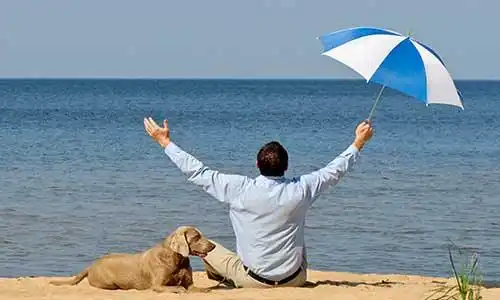 © bit24 - Fotolia | happy man with dog and umbrella on seacoast