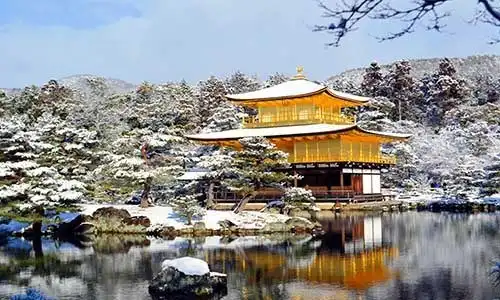 © Fujina | Dreamstime.com