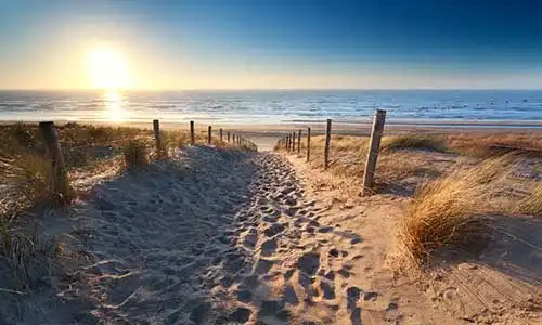 © OlhaRohulya | Dreamstime.com