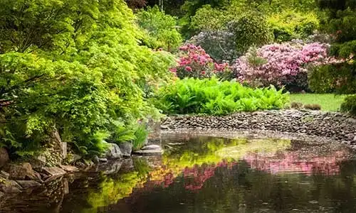 © satori - Fotolia | Garden full of flowers