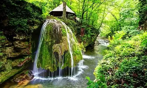 © Asyan | Dreamstime.com
