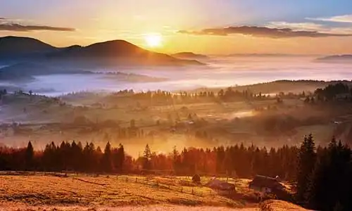 © Pyvovarpavlo | Dreamstime.com