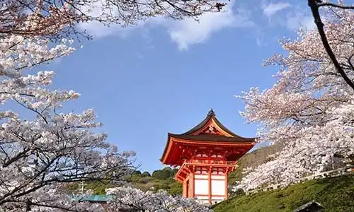 © sanupot - Fotolia | Shrine with cherry blossom