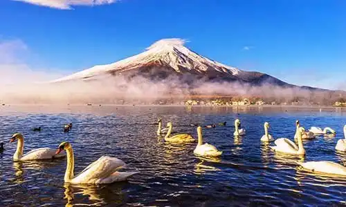 © Masterlu | Dreamstime.com