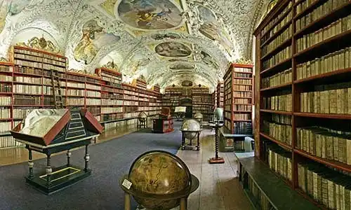 © Anvodak | Dreamstime.com