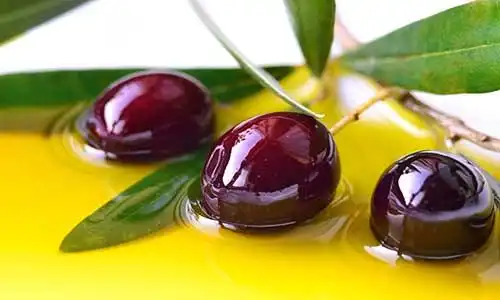 © travelbook - Fotolia | Olive oil and branch of olives closeup, background