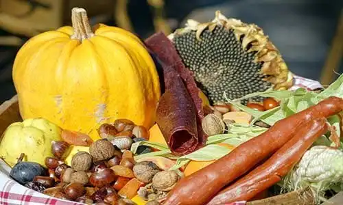 © Anna Bogush - Fotolia | Closeup of autumn vegetables and fruits