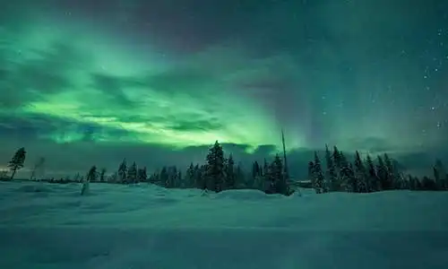 © Jamenpercy | Dreamstime.com