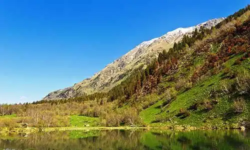 © Gon4ar | Dreamstime.com