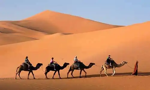 © Wrangel | Dreamstime.com
