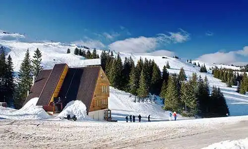 © Kokimk | Dreamstime.com