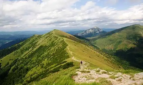 © Mirekdeml | Dreamstime.com