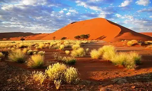 © Ecophoto | Dreamstime.com