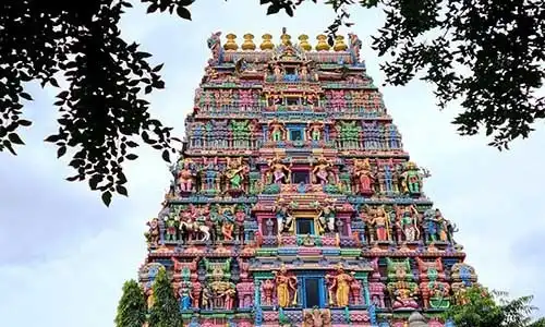 © Johannes Schumann | 50LANGUAGES LLC