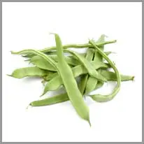 सोयाबीन