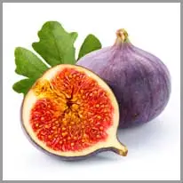fig