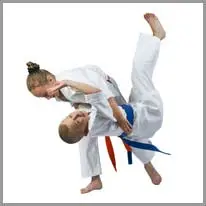 मार्शल आर्ट्स