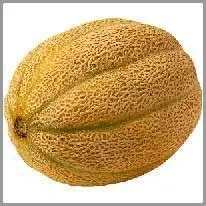 melonen