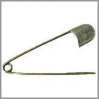 l‘agulla imperdible