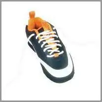 la zapatilla de deporte