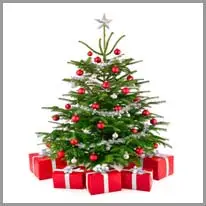 prezent bożenarodzeniowy