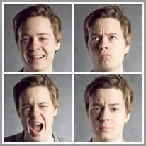 constant.998vocabulary_category1