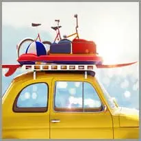 constant.998vocabulary_category14