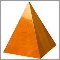 constant.998vocabulary_category31