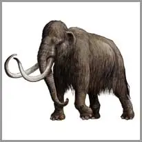 constant.998vocabulary_category41