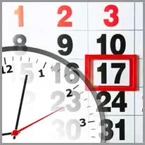 constant.998vocabulary_category8